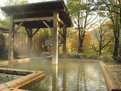 Hotel Tsunogami Niigata Kültér fotó